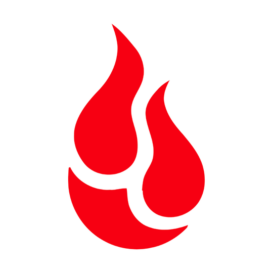 Backblaze Logo